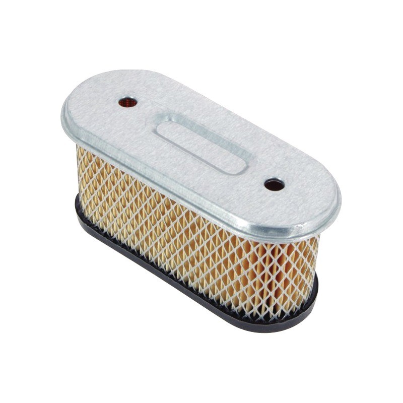 CARTOUCHE FILTRE ORIGINE BRIGGS & STRATTON