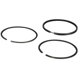 SEGMENTS ORIGINE BRIGGS & STRATTON LE JEU