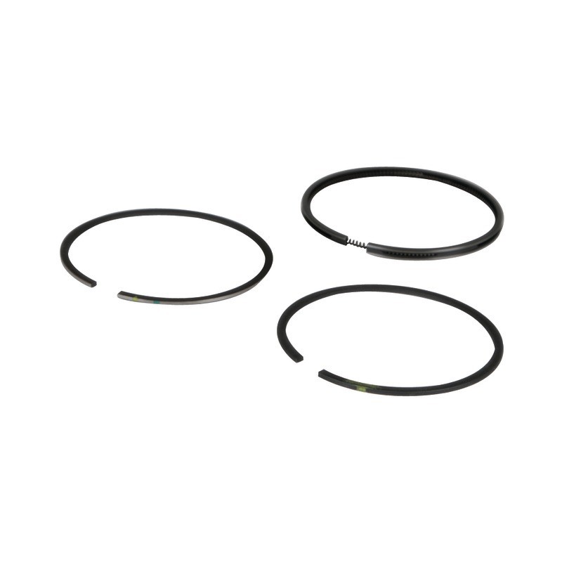 SEGMENTS ORIGINE BRIGGS & STRATTON LE JEU