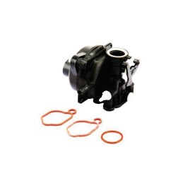 CARBURATEUR ORIGINE BRIGGS & STRATTON A POIRE