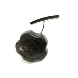 BOUCHON D'ESSENCE BRIGGS & STRATTON 596206