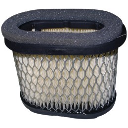FILTRE A AIR ORIGINE BRIGGS & STRATTON