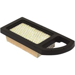 FILTRE A AIR 698413 BRIGGS & STRATTON
