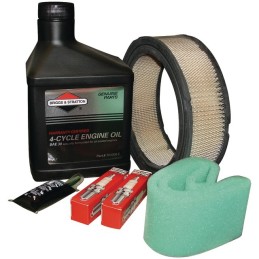 KIT ENTRETIEN VANGUARD V-TWIN ORIGINE BRIGGS & STRATTON