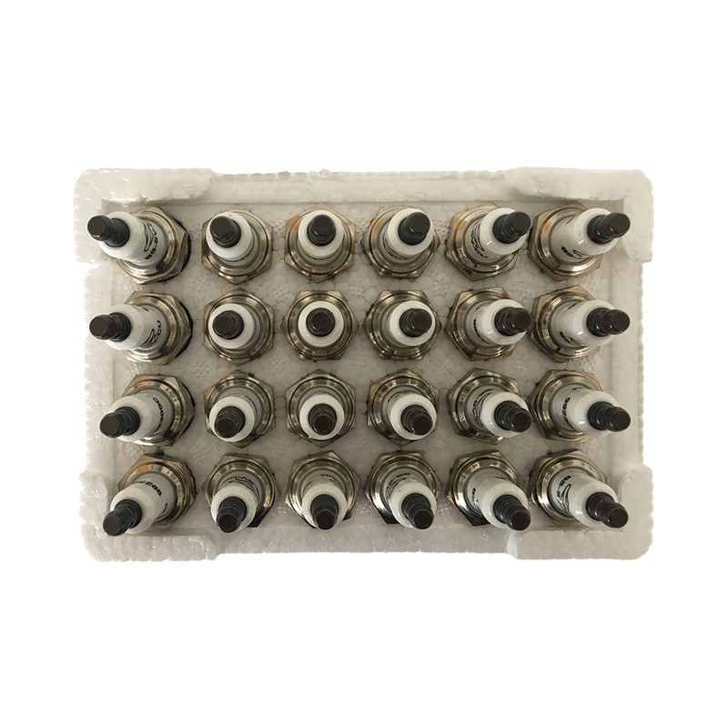 PACK ATELIER 24 BOUGIES BS-SV BRIGGS & STRATTON