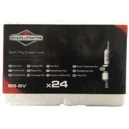 PACK ATELIER 24 BOUGIES BS-SV BRIGGS & STRATTON
