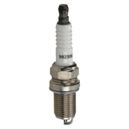 BOUGIE BRIGGS & STRATTON (RC14YC)