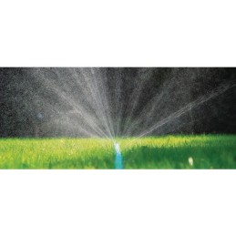 TUYAU D'IRRIGATION SPRING 15 METRES CELLFAST