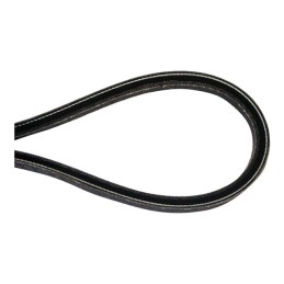 COURROIE LAME MODELES MJ66 ORIGINE GGP