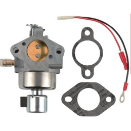 CARBURATEUR + KIT MOTEUR SV470 KOHLER