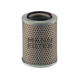 FILTRE A AIR PL C17160