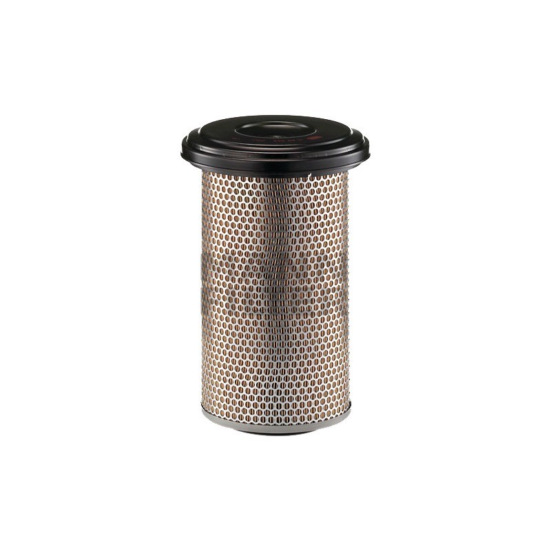 FILTRE A AIR PL MANN C20325