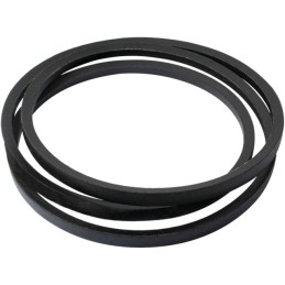 COURROIE AVANCEMENT 7540125A ORIGINE MTD