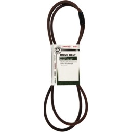 COURROIE MOTEUR/VARIATEUR MTD