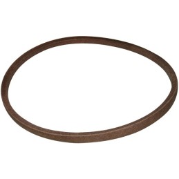 COURROIE EMBRAYAGE DE LAME PINTO 7540494  MTD