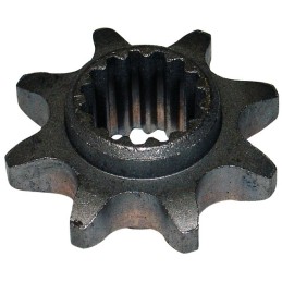 PIGNON ORIGINE PUBERT