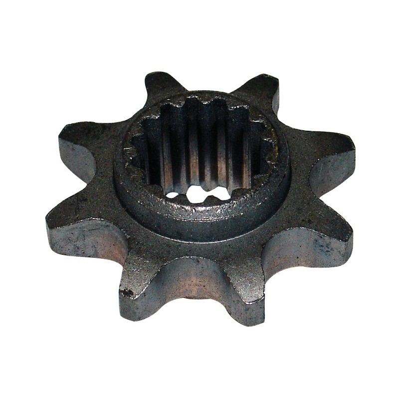 PIGNON ORIGINE PUBERT