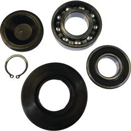 KIT ROULEMENT FOND OSCILLANT A PARTIR 22111