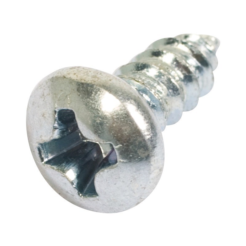 VIS DE PROTECTEUR KA 40X10 WN1442