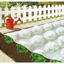 Voile de croissance Cap Vert - Longueur 5 m - Largeur 2 m