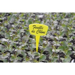 Étiquettes à planter - 15 cm