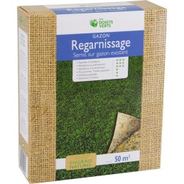 Gazon regarnissage enrichi Les doigts verts - 1 kg