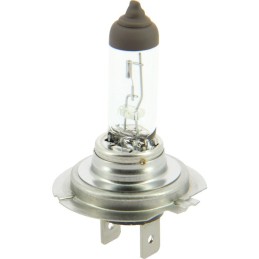 1 ampoule H7 12V 55W