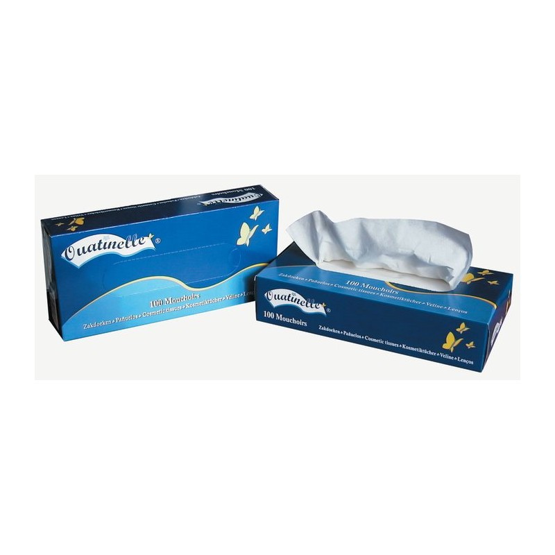 Mouchoirs extra blancs en colis de 40 boîtes de 100 pièces
