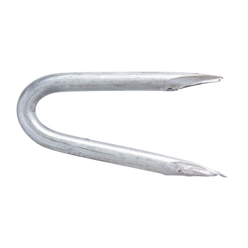 Crampillon acier galvanisé TE. Pointes - Longueur 30 mm - Diamètre 3 mm - 1 kg