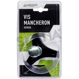 VIS DE BLOCAGE 176396 