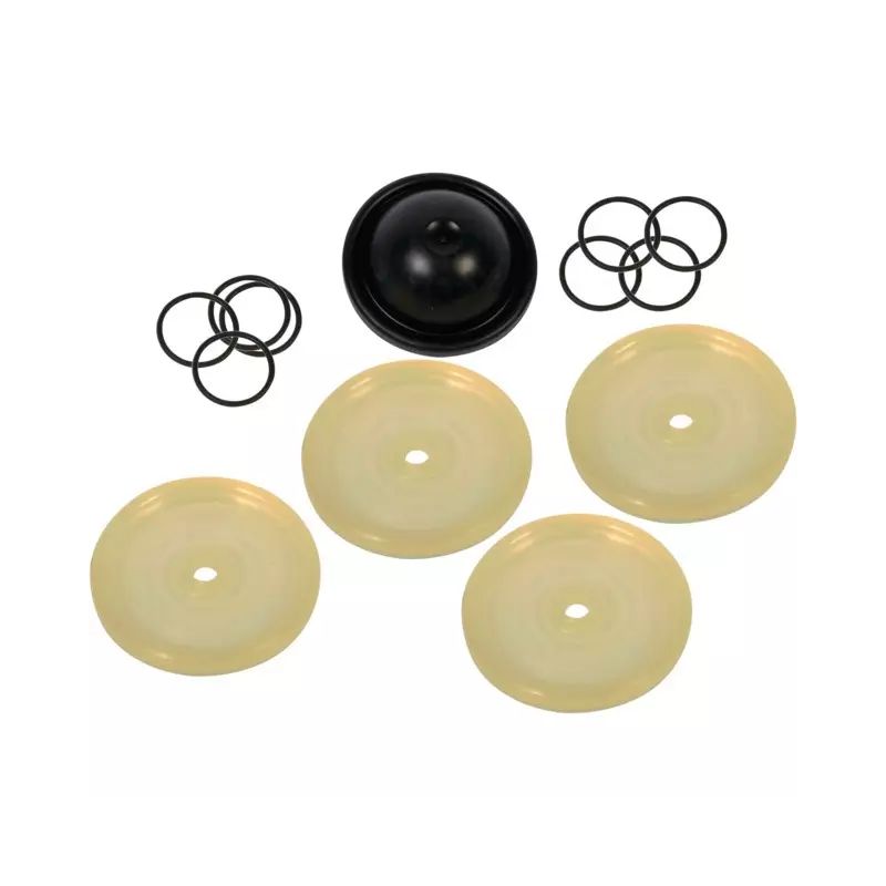 KIT MEMBRANES/JOINTS 528 (KIT528)