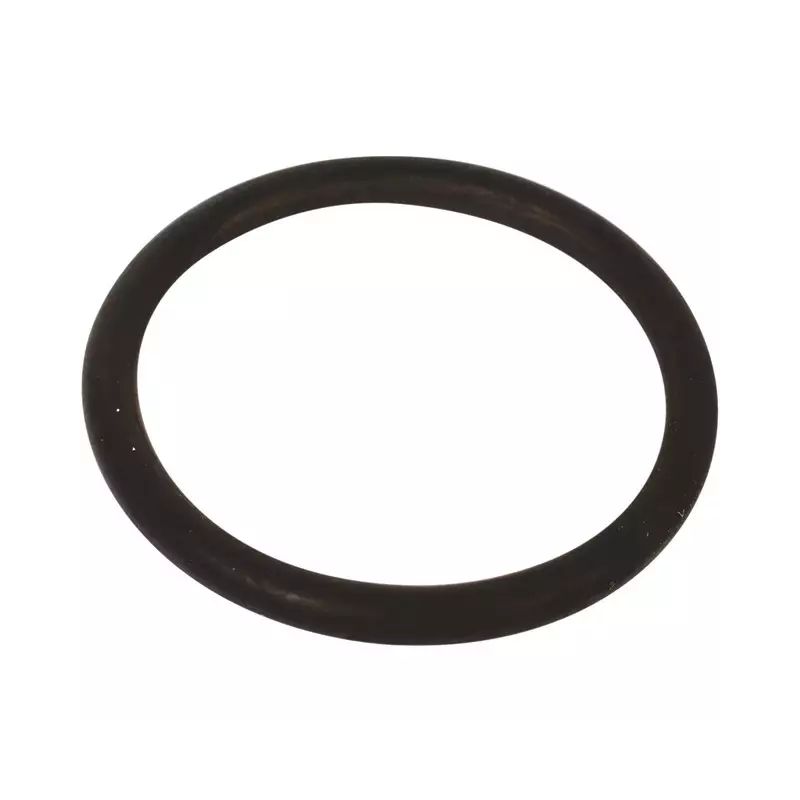 JOINT TORIQUE 1381 -1381