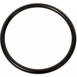 JOINT TORIQUE 1407 (1407) (SACHET DE 10)