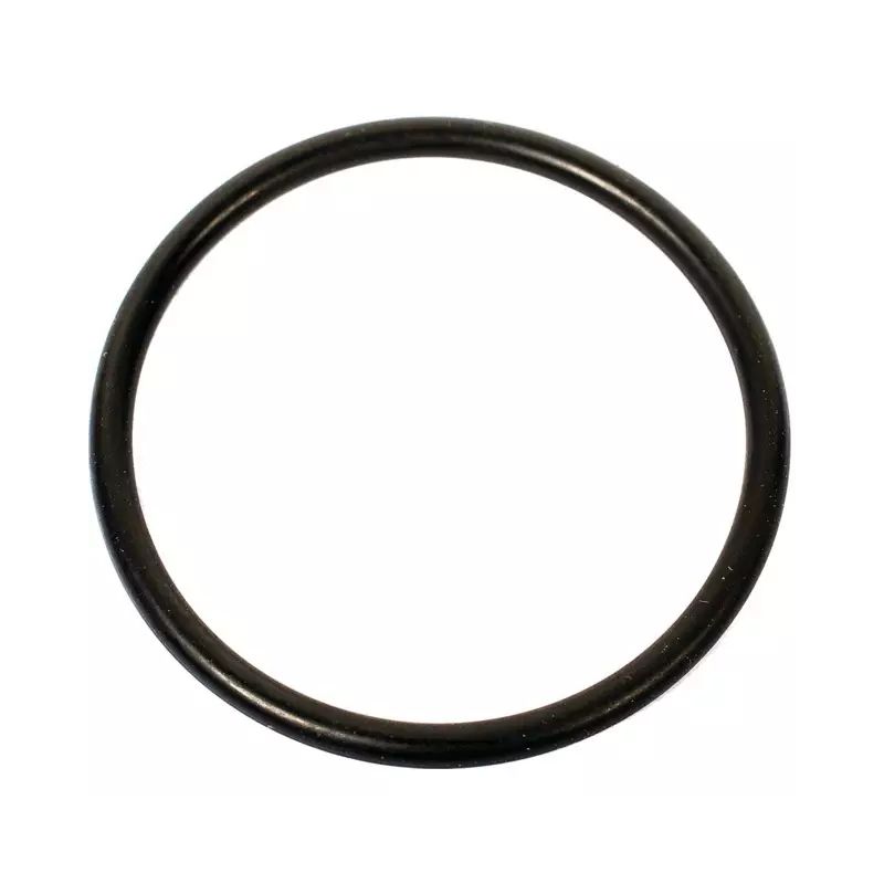 JOINT TORIQUE 1407 (1407) (SACHET DE 10)