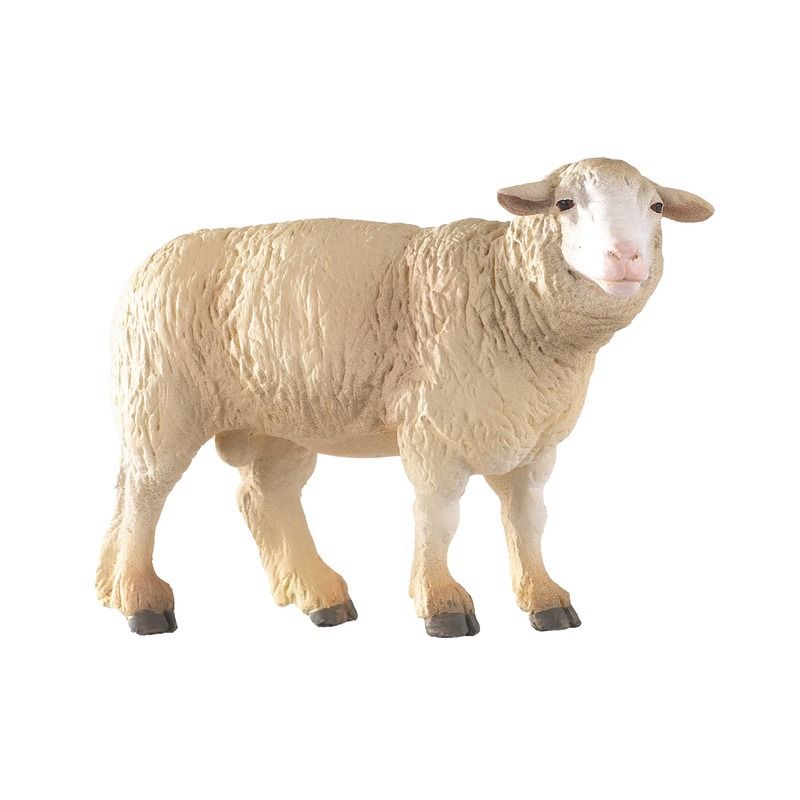 MOUTON MERINOS - Papo