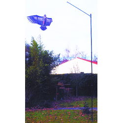 Effaroucheur Aigle