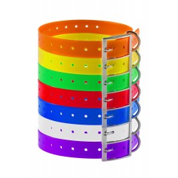 Collier pour chien de chasse