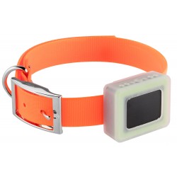 Collier GPS pour chien - Weenect