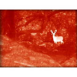 Caméra thermique SEEK XTRA RANGE pour Android (ex SE140)