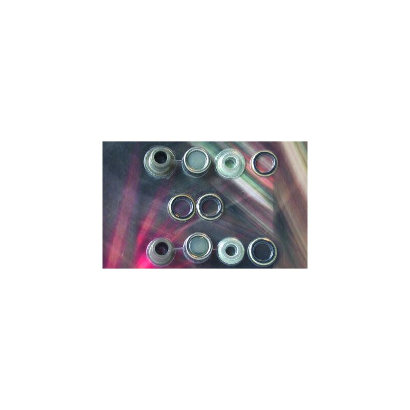 KIT RLTS AMORTIS. SUZUKIRM 125-250   2001 RLTS & JOINTS