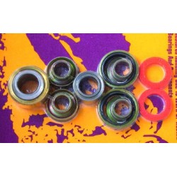 KIT RLTS AMORTIS.KTMSX MXC EXC 125-200-250- 300-380    1999-2001