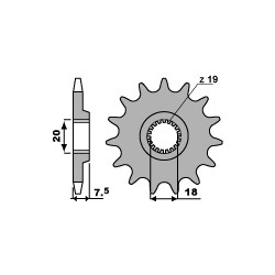 PIGNON 12 DENTSCR125R