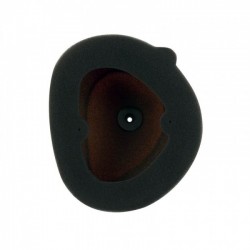 FILTRE TWINAIR KXF250/45006-15