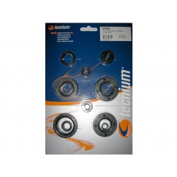 KIT SPI BAS MOT. TECNIUMYZ125 05-16