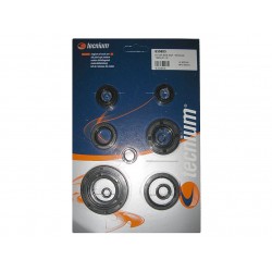 KIT SPI BAS MOT. TECNIUMYZ250 01-16