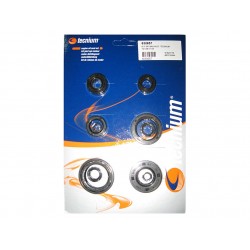 KIT SPI BAS MOT. TECNIUMYZ125 01-04