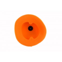 FILTRE A AIR TWINAIRCRF250R 10-13/450 09-12