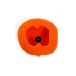 FILTRE A AIR TWINAIRCRF250R 14-18/450 13-16