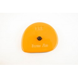 COUVERCLE FILTRE TWINAIRCRF450R 02