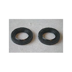 JTS SPYS VIL. KX80 1980KX125 80 KDX175 80-82 25X40X7 (2X)